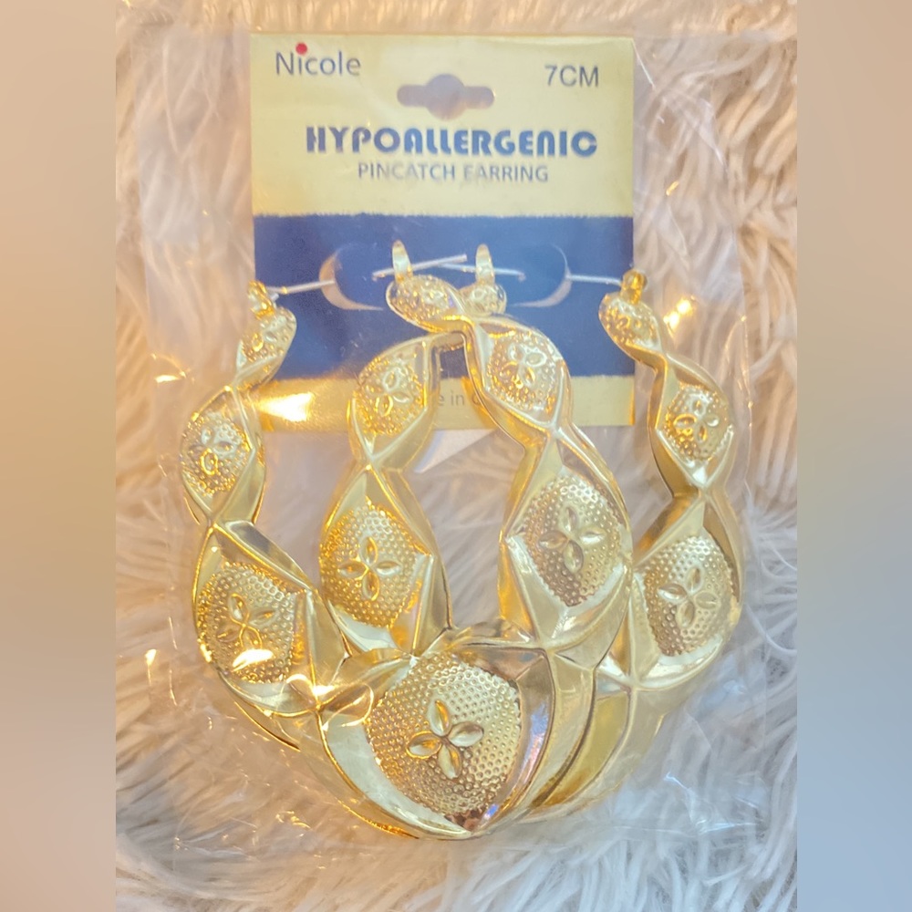 Big hoop Earrings